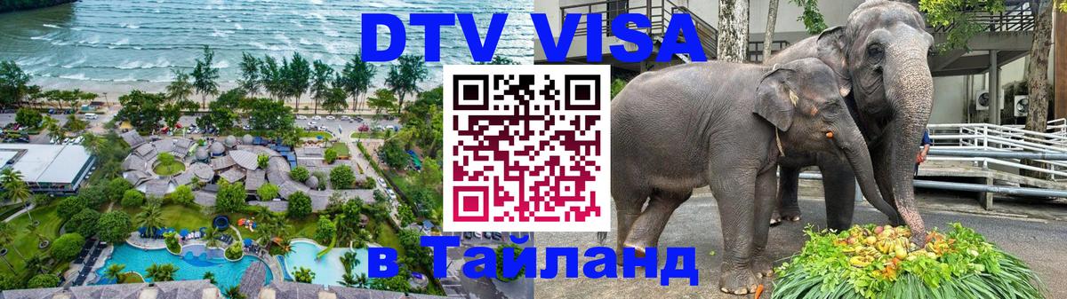 Оформление DTV визы под ключ: стоимость и тарифы, только загранпаспорт - Амстердам  07.01.2026 